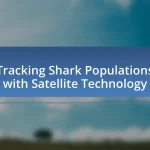 Tracking Shark Populations with Satellite Technology