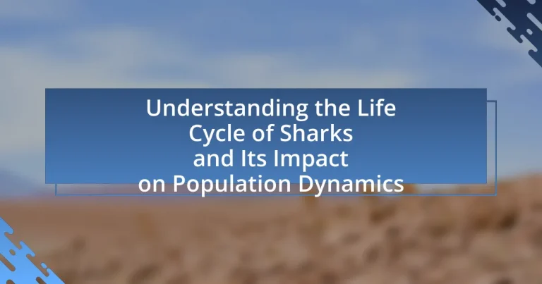 Understanding the Life Cycle of Sharks and Its Impact on Population Dynamics