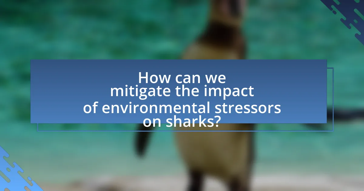 How can we mitigate the impact of environmental stressors on sharks?