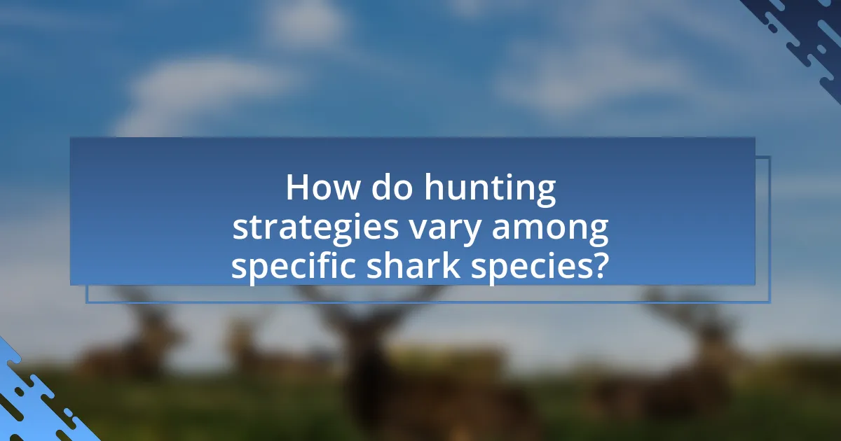 How do hunting strategies vary among specific shark species?