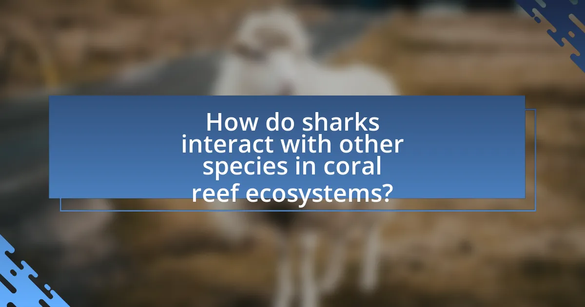 How do sharks interact with other species in coral reef ecosystems?