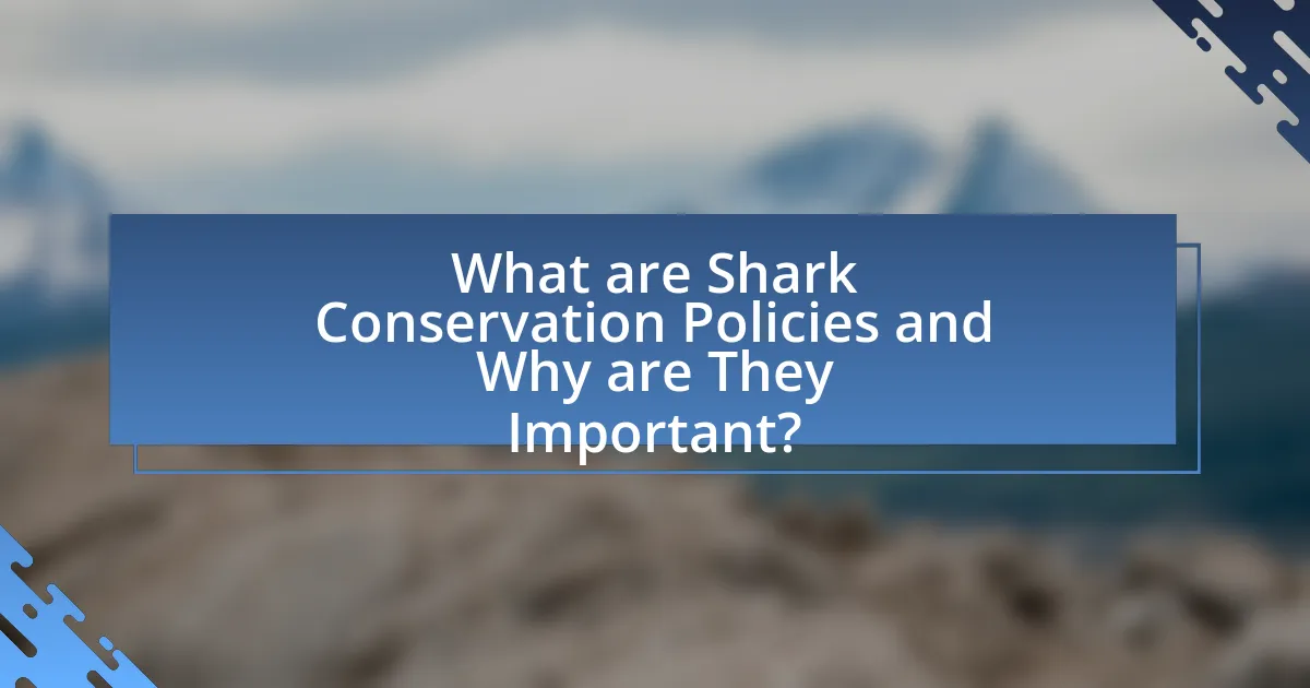 What are Shark Conservation Policies and Why are They Important?