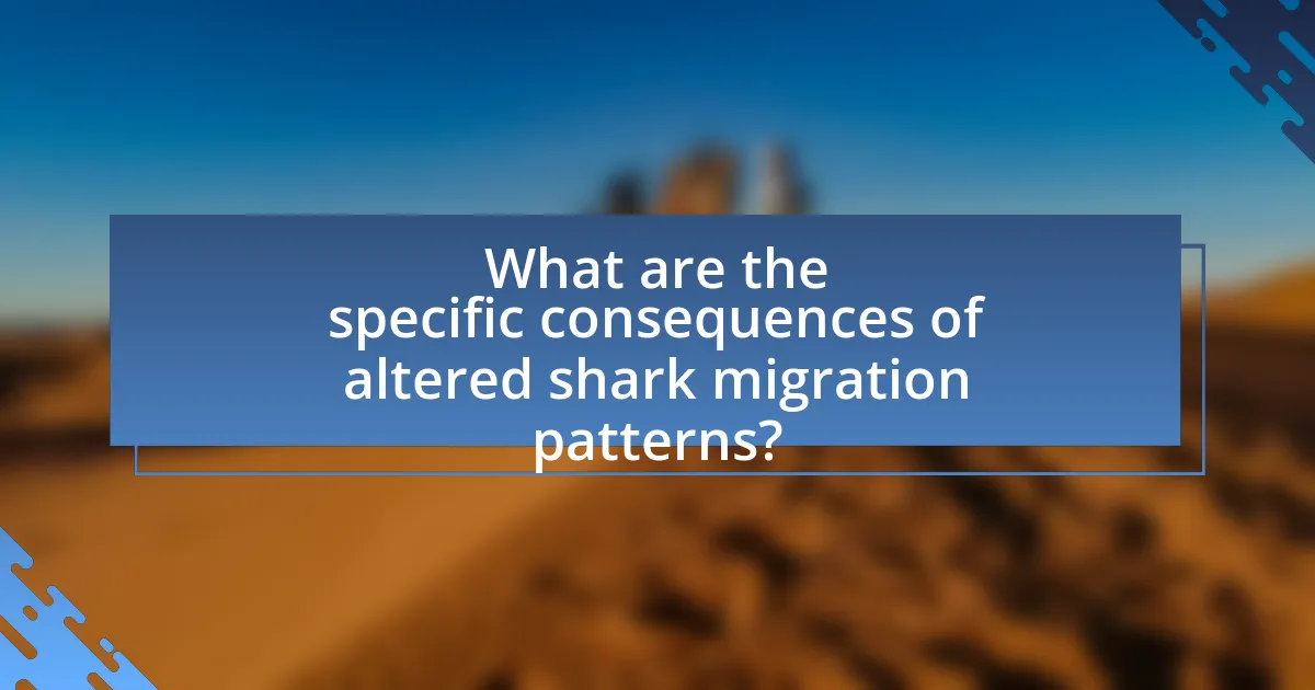 What are the specific consequences of altered shark migration patterns?