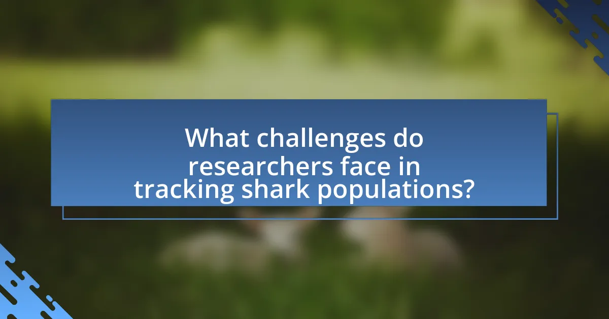What challenges do researchers face in tracking shark populations?